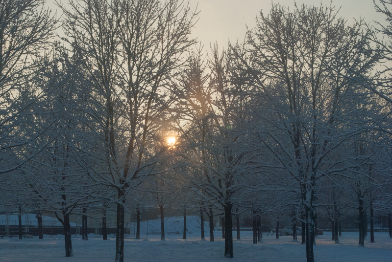 So beautiful and serene....на снегу свет... DSC_3879