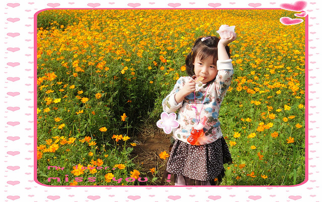 flower_showform_DSC00716