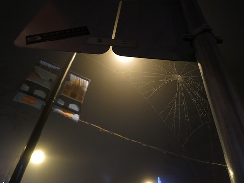 Fog: Cobweb