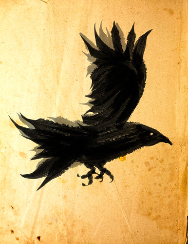 crow02 by diegorojas