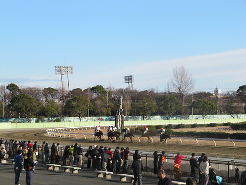 Nagoya Racecourse 名古屋競馬場