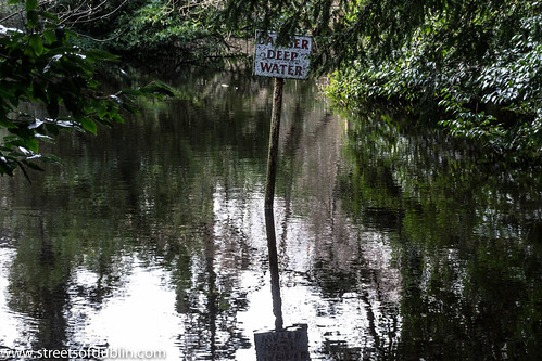 Deep Water: Bushy Park is a large public park in Rathfarnham, Dublin (Ireland) by infomatique