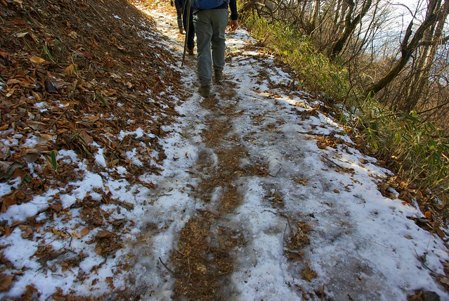 登山道には徐々に凍結箇所があらわれる