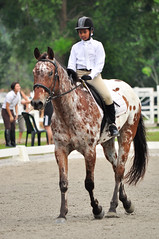 2013-01 FotoJOB for Equestrian (EAM) Inhouse Compeition @ Uniten 馬來西亞馬術協會马术赛 (D7000 with 55-300 VRII)