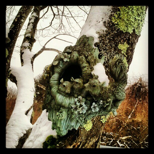 Scenes of #winter  #tree #birdfeeder #snow