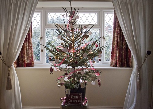 Our real Christmas tree at home in Shropshire