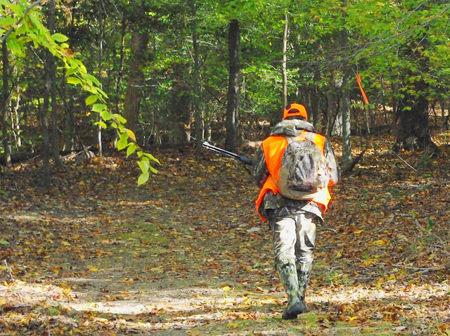 A deer hunter off on an adventure during a controlled wildife management hunt. Courtesy of John Gresham