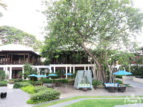Hotel Review:  Pillar 137 Hotel, Chaingmai, Thailand