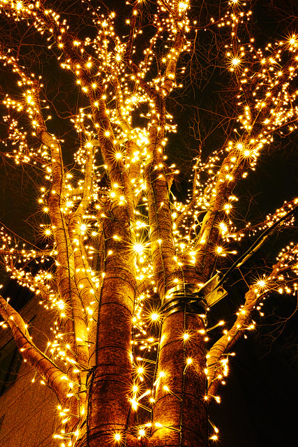 20121230_01_Marunouchi Illumination