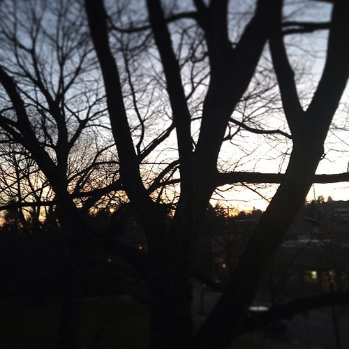 #portland #sunrise from our porch #pdx #photography by Andrew Rogge