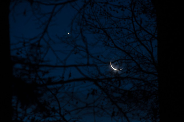 Moon and Planet through Trees