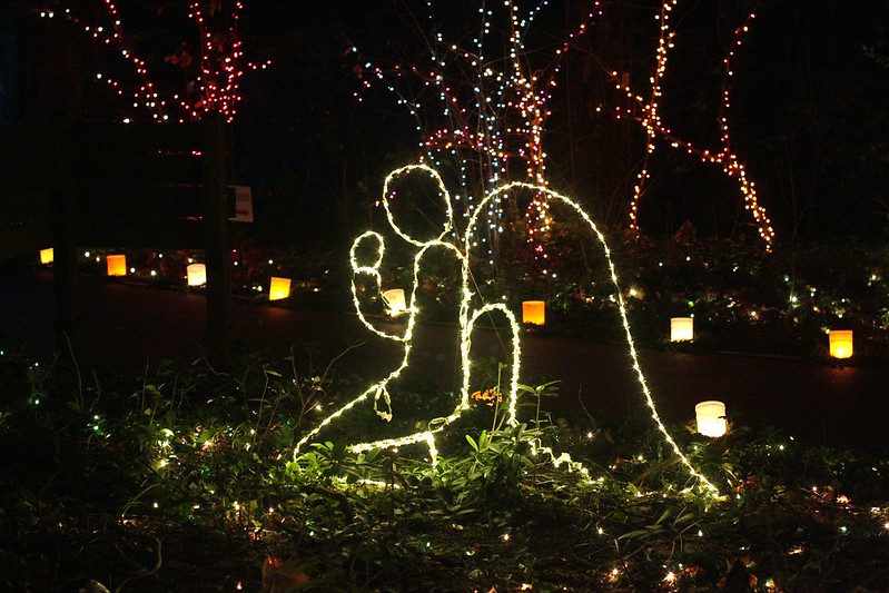 The Grotto Festival of Lights