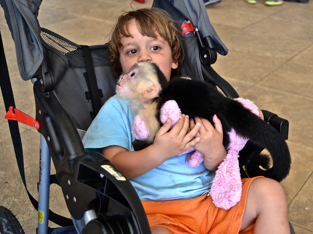 kid with a monkey at the jungle island in miami fl