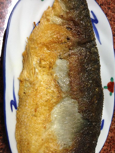 fried milk fish