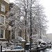 Snowy tree in New Cross