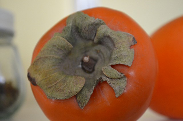 large and up close persimmon
