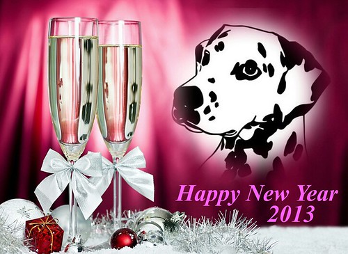 Happy New Year 2013! by Dalmatiner vom Hossenhaus