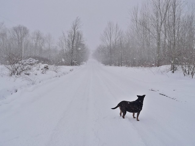 snowy-road-dusk