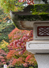 Japanese Autumn Colours 2012