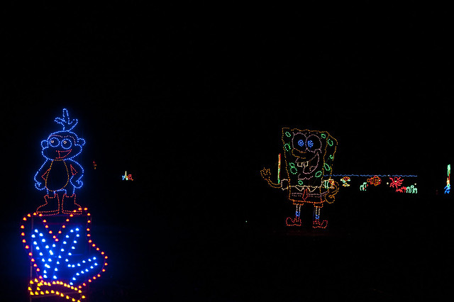 010 Christmas lights