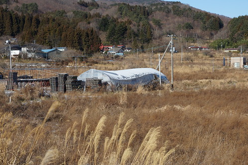 福島県 避難区域の畑