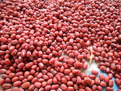 自然風乾的紅豆。