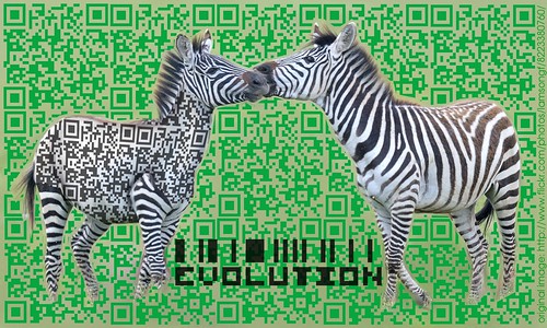 Zebra Evolution by teclasorg