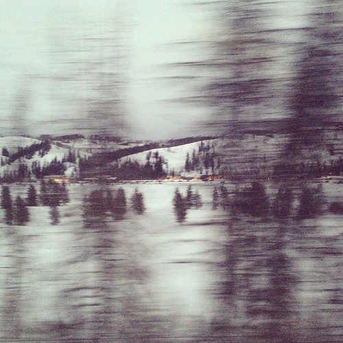 Blurry trees #winterpark #traintrip