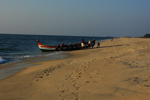 India, barco con pescado