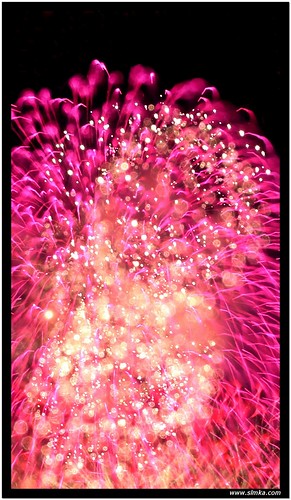 RWS Fireworks [Red Flower]