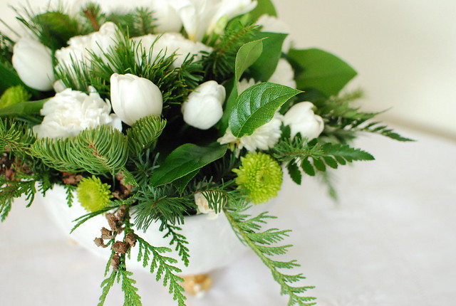 Green and White Winter Flowers