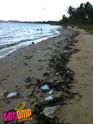Is this really Singapore? Pasir Ris shoreline covered with rubbish