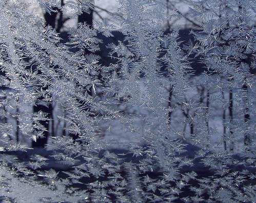 2013_01111Frost-Feathers0002 by maineman152 (Lou)