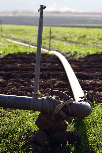 Your Farm News in Photos - Irrigation
