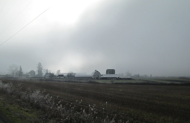 Foggy farm complex