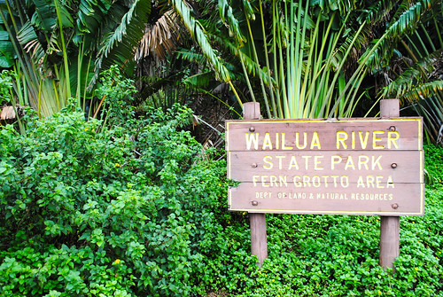 Wailua River State Park - Fern Grotto Area photo by Keira-Anne and flickr.com