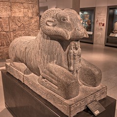 Ram of Amun