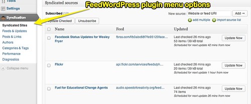 FeedWordPress plugin menu options