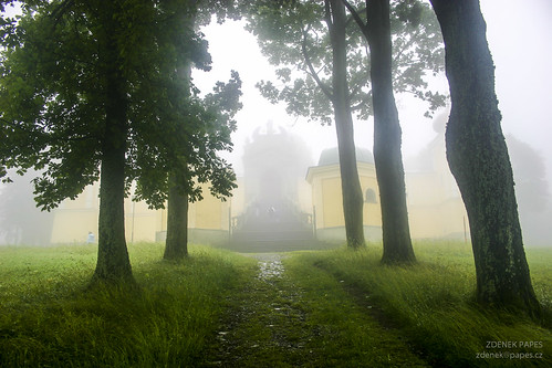 Fog by Zdenek Papes