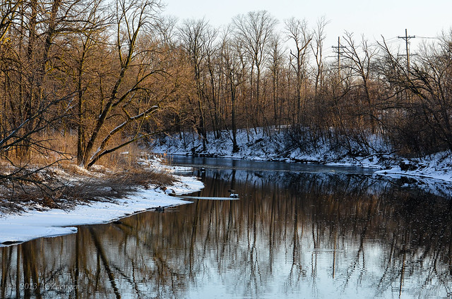Late Winter Dupage River 1