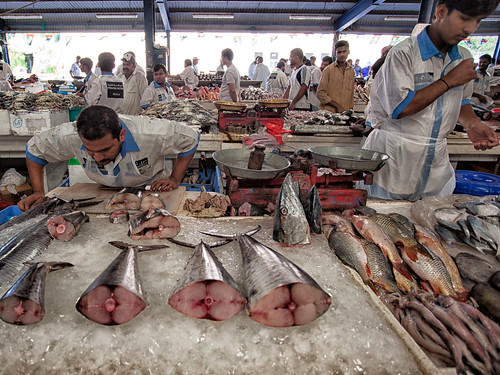 Dubai Fish Market #05
