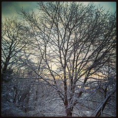 Good Morning! #FirstDayOfSpring #newengland #snow #spring