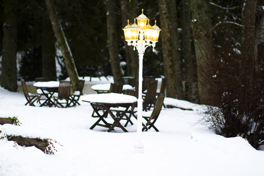 a magical snowy park in Belgium 2