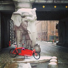 Two Danish icons. The Carlsberg elephants & the Bullitt. #copenhagen #carlsberg #bullitt #cargobike