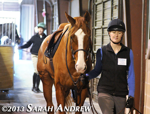 Alluring Punch and Valerie Shepard at the Maryland Horse World Expo
