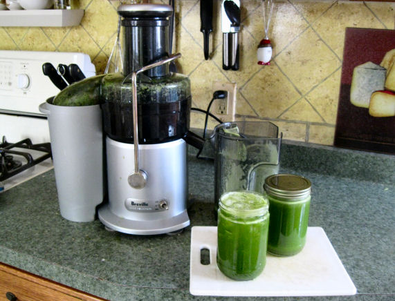 Green Juice Sick Fat and Nearly Dead