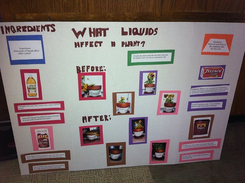 Emily's Finished Science Project