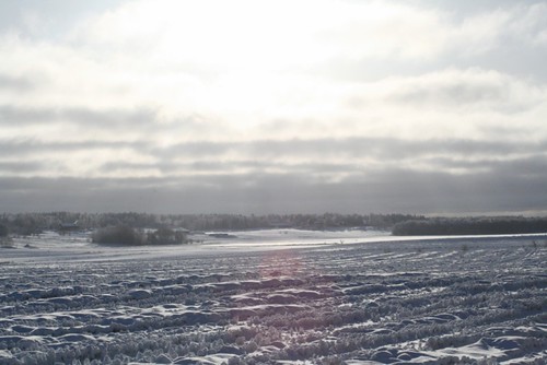 Field and snow by Sundinska