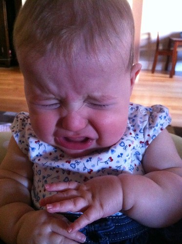 Dakota Bear Crying. She was not happy.