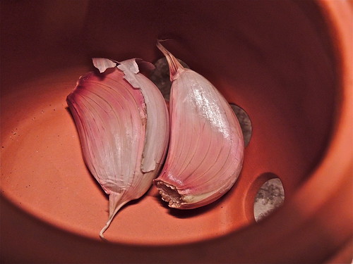 Garlic in Terracotta by Irene.B.